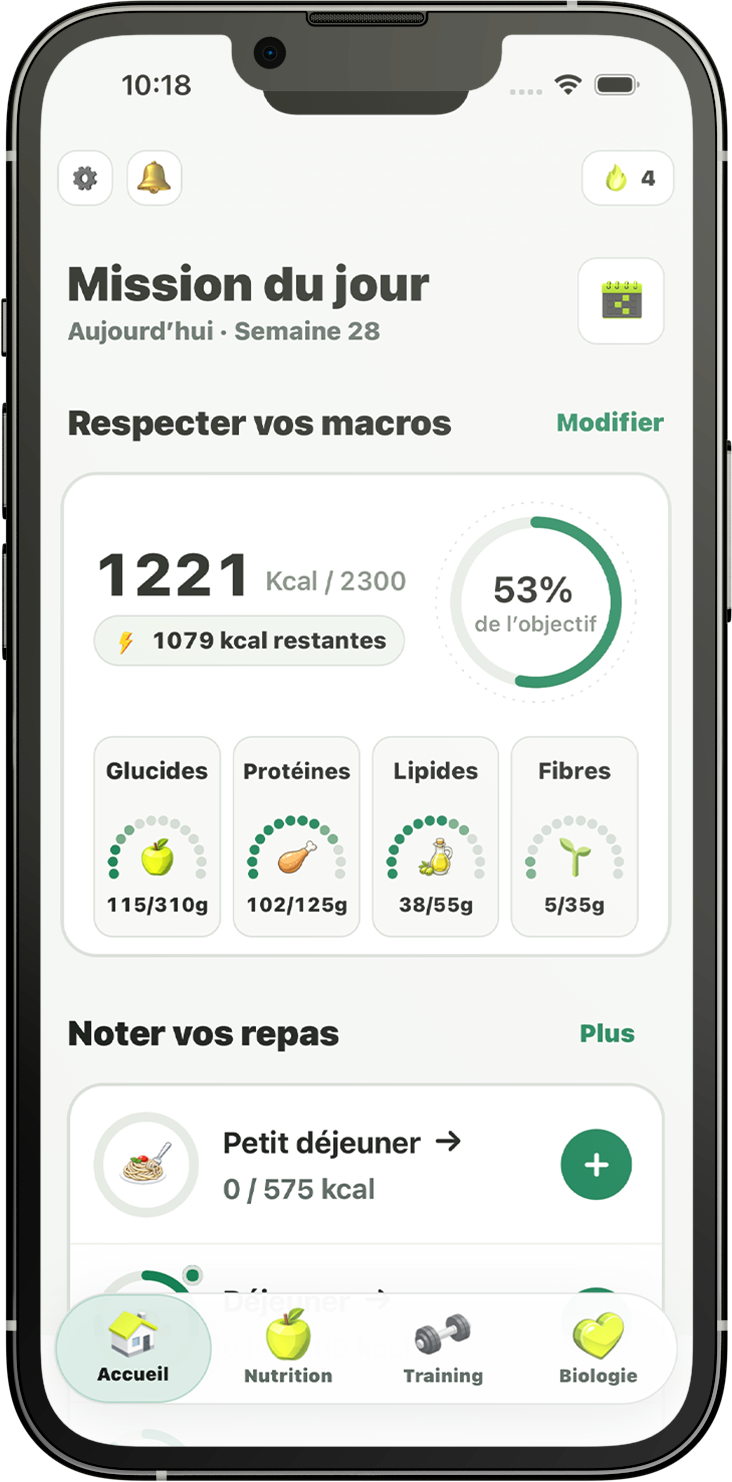 Aperçu de l’application Shredy
